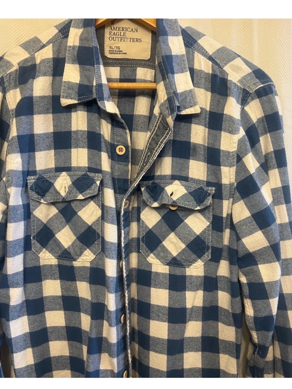 American Eagle Outfitters Blue and White Check Flannel Button-Down